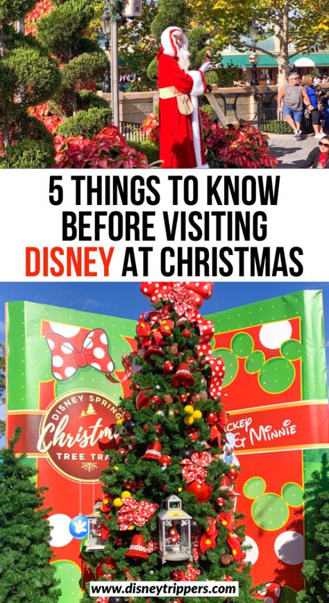 5 Things To Know Before Visiting Disney At Christmas - Disney Trippers Disney At Christmas, Disneyland At Christmas, Disney Christmas Vacation, Christmas At Disney, Travel Restaurant, Christmas Tips, Travel Flight, Disney World Christmas, Flight Travel