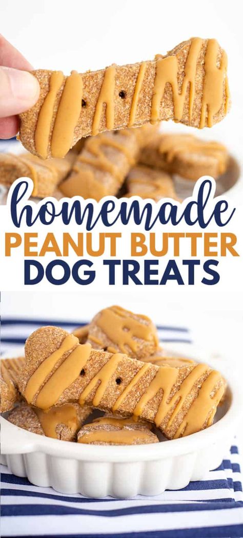 Homemade Peanut Butter Dog Treats - These easy Homemade Peanut Butter Dog Treats will make your peanut butter loving dogs go crazy! They're not only filled with peanut butter, but they have a cute peanut butter coconut oil drizzle on them. They can be frozen to last longer and to keep the peanut butter drizzle firm. #peanutbutterdogtreats #homemadedogtreats #dogtreats #cookiedoughandovenmitt #doglovers Homemade Peanut Butter Dog Treats, Puppy Cookies, Dog Cookie Recipes, Dog Treats Homemade, Pet Treats Recipes, Dog Treats Homemade Easy, Easy Dog Treat Recipes, Dog Biscuit, Dog Biscuit Recipes