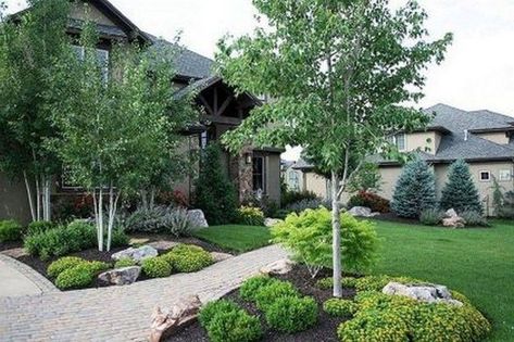 Boxwood Landscaping, Modern Front Yard, Small Front Yard Landscaping, Front Yard Design, Farmhouse Landscaping, Front Landscaping, Garden Shrubs, Landscape Designs, Landscape Garden