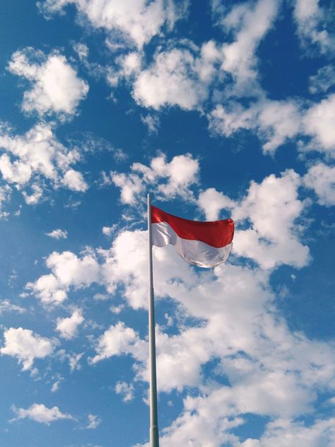 Berkibarnya kurang pas tapi lumayanlah Indonesian Flag, 17 Agustus, Nature Illustration, Instagram Story Ideas, Instagram Captions, Independence Day, Instagram Story, Diy And Crafts, Stock Images