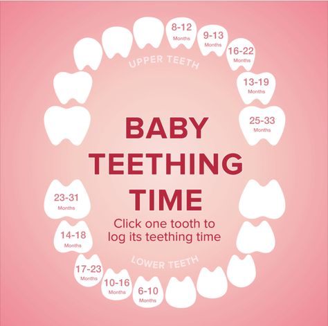 First Tooth, Baby Month By Month, Diy Baby Stuff, Home Decor Decals, 10 Things