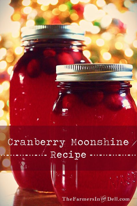 My cranberry craze continues!  Only this time, I’ve added some hooch.  Refrigerate overnight or let it sit for a few weeks to mellow.  Either way, it produces quite a kick!  Please enjoy resp… Cranberry Moonshine Recipes, Huckleberry Moonshine Recipe, Christmas Moonshine Recipes, Everclear Moonshine Recipes, Homemade Moonshine Recipes, Cranberry Moonshine, Caramel Apple Jam Recipe, Watermelon Moonshine Recipe, Homemade Moonshine