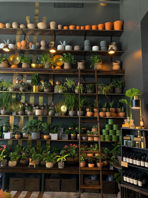 Plant Sales Display, Plant Store Layout, Dark Store Aesthetic, Retail Houseplant Displays, Plant Shop Aesthetic Vintage, Plant Shop Cafe, Aesthetic Plant Shop, House Plant Shop, Plant Store Design