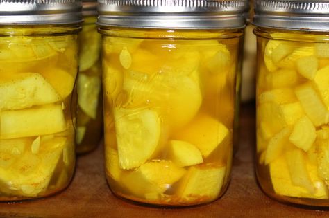 Spicy Summer Squash Recipe Squash Canning Recipes, Canning Summer Squash, Preserve Squash, Squash Relish, Can Squash, Canned Squash, Summer Squash Recipes, Canning Fruit, Home Canning Recipes