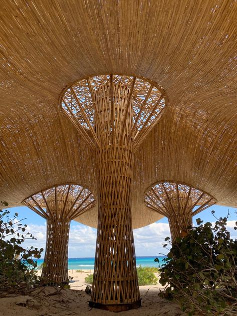 Arquitectura Mixta - architects — Better Bamboo Buildings Bamboo Design Ideas, Easter Inspiration Decor, Luxury Tree Houses, Bamboo Building, Bamboo House Design, Concept Models Architecture, Bamboo Structure, Bamboo Architecture, Organic Structure