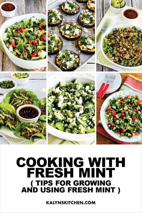 Pinterest image for Cooking with Fresh Mint, showing 6 photos of recipes with mint. Using Fresh Mint, Mint Recipes Dessert, Mint Recipes Fresh, Ideas For Cooking, Fresh Herb Recipes, Cooking With Fresh Herbs, Growing Mint, Dinner Mints, Healthy Plant Based Recipes