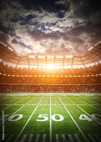 Football Background, Fashion Dolls Photography, Soccer Stadium, Fabric Photography, Muslin Backdrops, Football Stadium, Football Stadiums, Football Field, Custom Backdrop