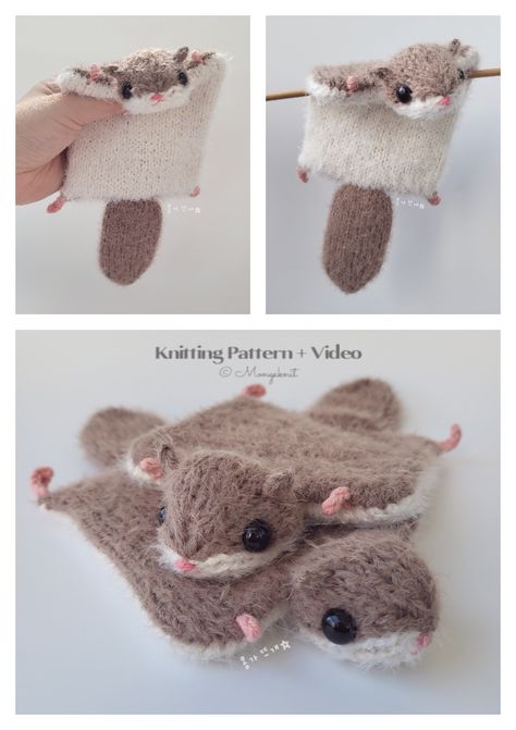 Flying Squirrel Knitting Pattern - Knitting Pattern Knit Moth Pattern, Squirrel Knitting Pattern, Crochet Flying Squirrel, Knit Mouse Pattern Free, Knitting Cat Pattern, Animal Knitting Patterns Free, Knit Animal Patterns, Knit Toys Free Pattern Stuffed Animals, Knit Stuffed Animals