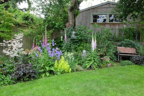 Beach Garden Design, Pnw Garden, Pacific Northwest Garden, Native Plant Landscape, Northwest Garden, Northwest Landscaping, Shade Garden Design, Native Plant Gardening, Native Garden