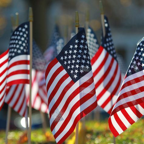 VETERANS DAY - November 11, 2020 | National Today Marine Corps Birthday, Words To Describe Someone, Patriots Day, American Veterans, Veteran Owned Business, The Marine, Military Veterans, Perfect Strangers, November 11