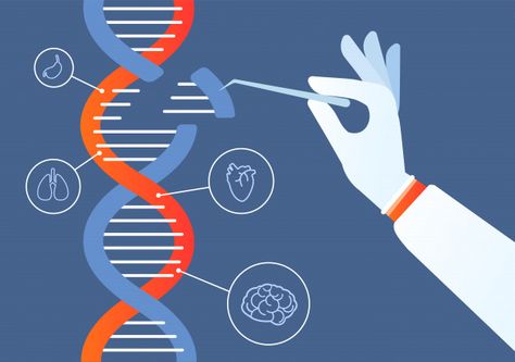 Crispr Cas9, Gene Mutation, Dna Molecule, Dna Model, Where To Invest, Human Genome, Science Background, Biology Art, Science Illustration