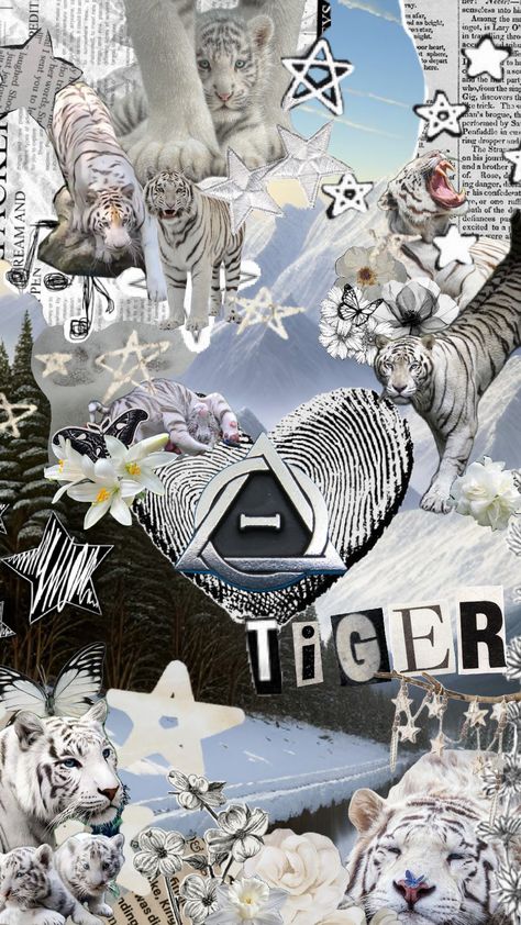 White Tiger Wallpaper, Tiger Wallpaper, Brogues Men, Ghost Faces, White Tiger, Ghost, Singing, White