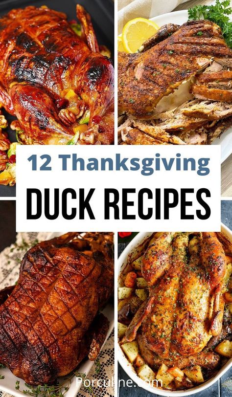 Duck Recipes for Thanksgiving Thanksgiving Duck, Best Duck Recipe, Duck Roast, Alpha Gal Recipes, Wild Game Dinner, Roasted Duck Recipes, Smoked Duck, Alpha Gal, Unique Appetizers