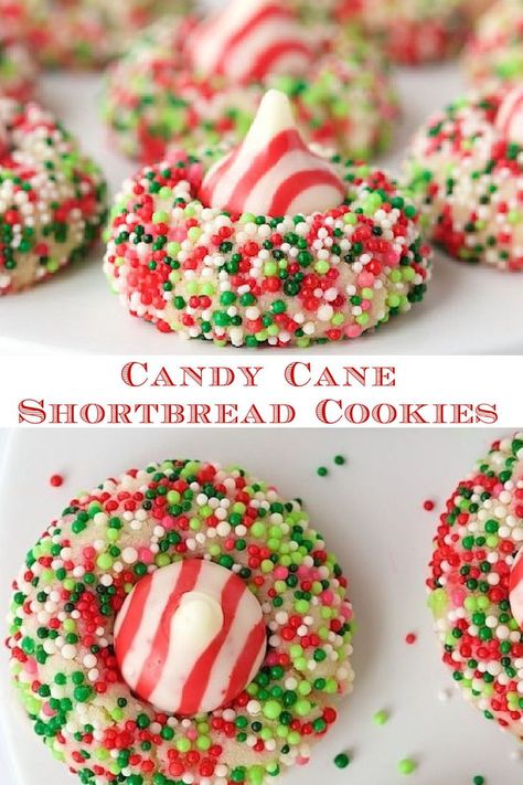 Candy Cane Baked Goods, Candy Cane Kiss Cookies, Candy Cane Kisses Cookies, Candy Cane Whipped Shortbread, Candy Cane Hershey Kiss Cookies, Chocolate Candy Cane Kiss Cookies, Holiday Dessert Drinks, Candy Cane Cookies, Sweet Treats Desserts