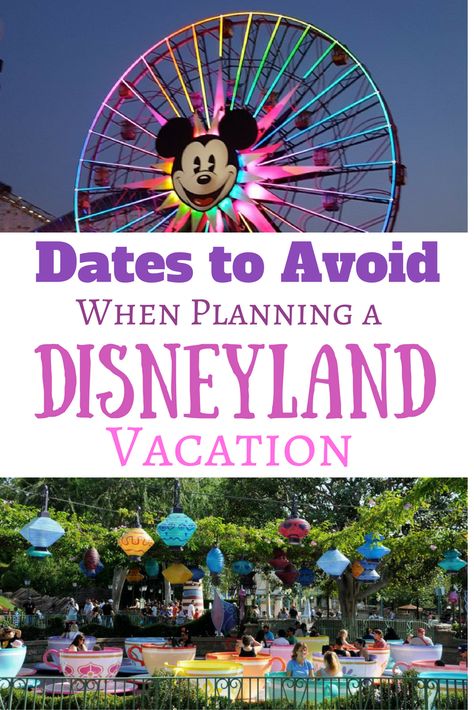 Disney In California, Disneyland And California Adventure In One Day, Plan Disneyland Trip, Disneyland Trip Planning 2024, Disneyland In March, Disneyland In January, Disneyland Hacks, Planning Vacation, Disneyland Trip Planning