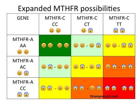 All possible variations of MTHFR gene combinations. Mthfr Diet, Mthfr A1298c, Mthfr C677t, Mthfr Gene Mutation, Gene Mutation, Mthfr Gene, Functional Health, Naturopathic Medicine, Genetic Mutation