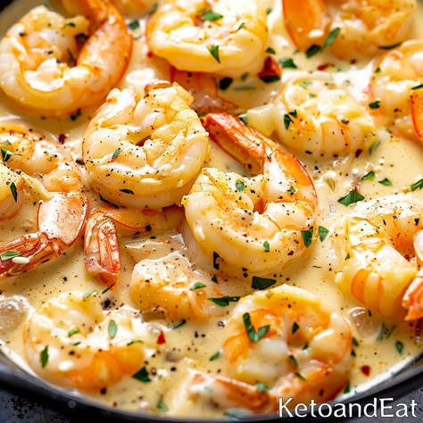 Carnivore Shrimp Recipe: Creamy & Easy to Make (ZERO Carbs) Sauces On Carnivore Diet, Zero Carb Meals Dinners, Carnivore Diet Shrimp Recipes, Keto Shrimp Recipes Low Carb, Carnivore Fish Recipes, Carnivore Shrimp Recipes, Carnivor Meals, Carnivore Dinner Ideas, Easy Carnivore Meals