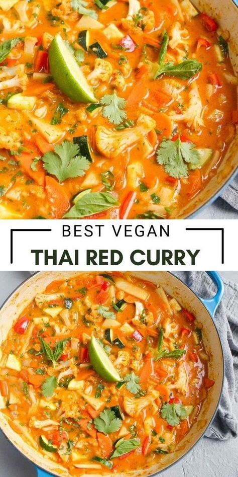 Vegetarian Thai Curry, Vegan Thai Red Curry, Lentil Chili Recipe, Curry Paste Recipe, Thai Red Curry Recipe, Red Curry Recipe, Recipe Sauce, Slow Cooker Curry, Vegetarian Thai