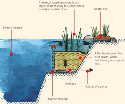 Swimming Pool Pond, Living Pool, Natural Swimming Ponds, Swimming Pond, Natural Pond, Natural Swimming Pools, Farmhouse Barndominium, Natural Swimming Pool, Dream Pools