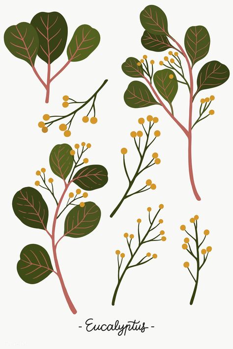 Eucalyptus Flower, Plant Illustrations, Crocus Flower, Leafy Plants, Posca Art, Image Ideas, Quilting Inspiration, Botanical Illustrations, Pressed Flower Art