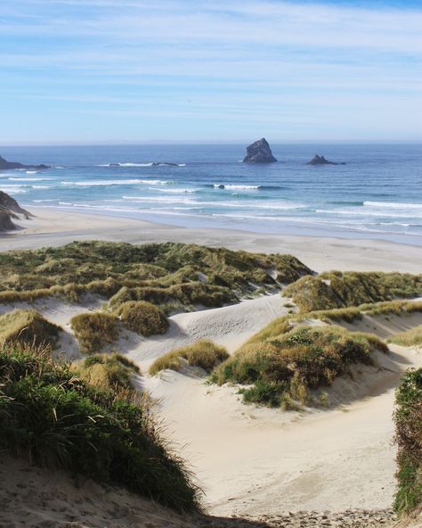 View of Sandfly Bay, a beautiful white sand beach on the Otago Peninsula in Dunedin, New Zealand. New Zealand Dunedin, New Zealand Beach Aesthetic, Otago New Zealand, New Zealand Beaches, New Zealand Life, New Zealand Aesthetic, Dunedin Nz, Nz Summer, New Zealand Nature