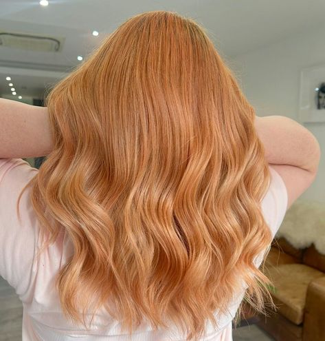 11 Peach Fuzz Hair Looks Peach Colored Hair, Blonde Extensions, 2024 Color, Custom Shades, Peach Fuzz, Colored Hair, Permanent Hair Color, Just Peachy, Hair Colorist