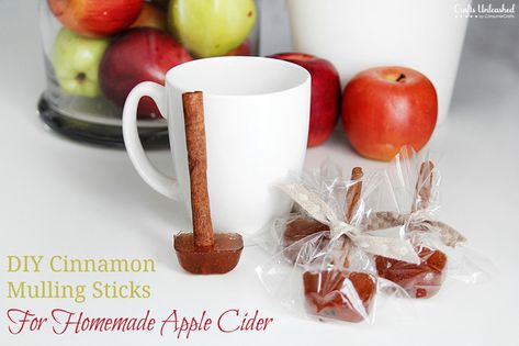 Top Farmhouse Style Cinnamon Stick Crafts that are perfect for the Holiday Season From Christmas Ornaments to Garland and beyond! The aroma is delightful! Sticks Crafts, Diy Cinnamon, Homemade Apple Cider, Hot Apple Cider, Individual Servings, Homemade Apple, Christmas Things, Apple Cinnamon, Employee Gifts