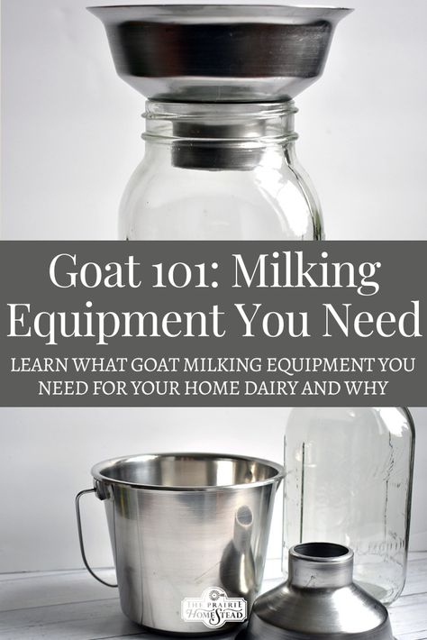 Goat Milking Equipment How To Process Goat Milk, How To Milk A Goat, Goat Milking Stand Plans, Diy Goat Milking Stand, Goat Milking Station, Goat Milk Stand, Goat Tips, Goat Milking Parlor, Milking Goats