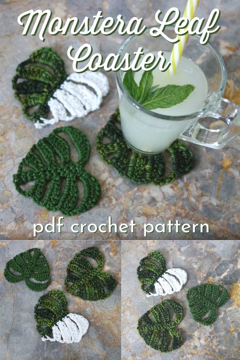 Check out these fun and quick-to-make Monstera Deliciosa leaf crocheted coasters! What a fun and trendy, functional decor item! I can't wait to whip up a bunch of these cute coasters for my living room! #CrochetCoaster #CoasterPattern #MonsteraCoaster #MonsteraDeliciosa #CrochetPattern #CarmexiaDesigns #CraftEvangelist Crocheted Coasters, Crochet Coaster Pattern, Crochet Plant, Crochet Leaves, Crochet Kitchen, Crochet Home Decor, Monstera Deliciosa, Fun Crochet Projects, Diy Crochet Projects