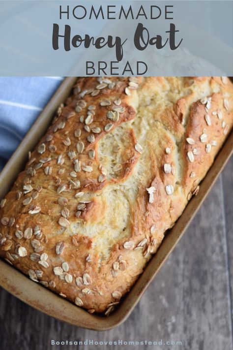 Honey Oat Bread, Oat Bread, Honey Bread, Aesthetic Health, Tattoo Health, Bread Maker Recipes, Artisan Bread Recipes, Honey Oats, Cloud Bread