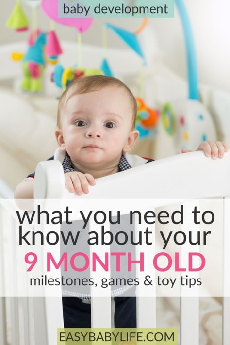 9 Month Old Milestones, 9 Month Old Baby Activities, Baby Developmental Milestones, Baby Development Chart, Baby Development Milestones, Baby Development Activities, 9 Month Old Baby, Development Milestones, Baby Learning Activities