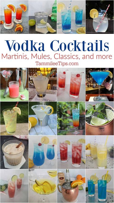 Tito Vodka Recipes Cocktails, Easy Tito’s Cocktails, Tito’s Vodka Mixed Drinks, Mocktail Lemon Drop Martini, Flavored Lemon Drop Martini, Absolut Citron, Ginger Beer Cocktail, Vodka Cocktails Easy, Easy Margarita