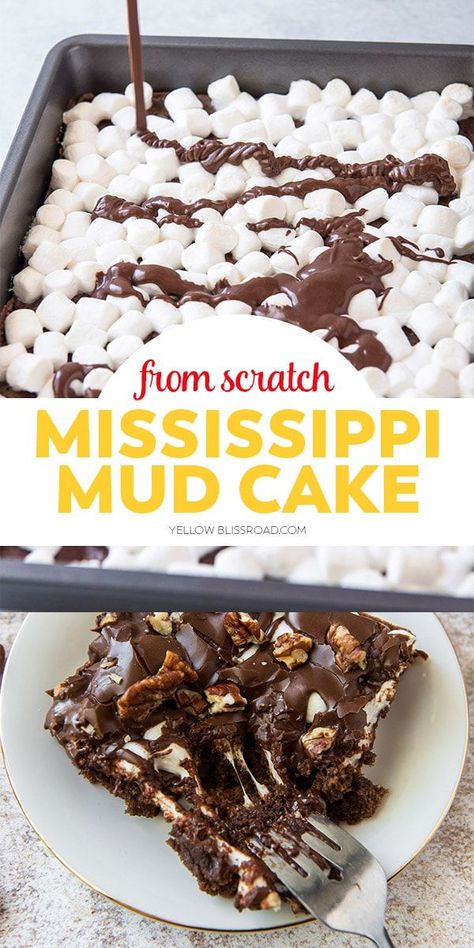 Mud Cake Recipe, Chocolate Glaze Recipes, Mississippi Mud Cake, Mud Cake Recipes, Mississippi Mud, Chocolate Sheet Cake, Sheet Cake Recipes, Mud Cake, Delicious Cake Recipes