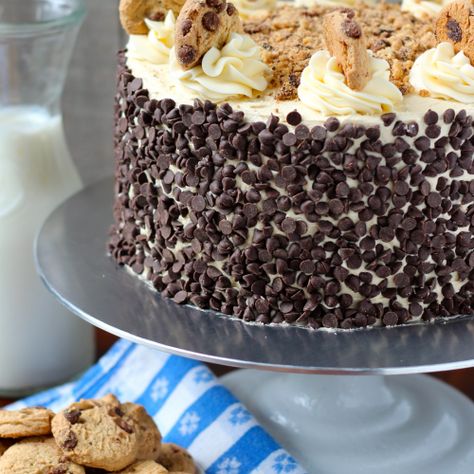 Cookie Dough Cake Cookie Dough Cake, Chocolate Chip Cake, Oreo Cake, Chocolate Chip Cookie Dough, Mini Chocolate Chips, Chocolate Chip Cookie, Decadent Desserts, Sweets Treats, Cupcake Recipes