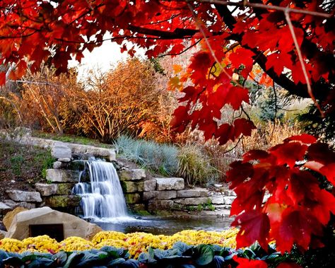 These parks and arboretums are the best places to view fall foliage around Kansas, as soon as the leaves turn. It's a beautiful place out there. Kansas City Attractions, Overland Park Arboretum, Fall Hike, Arkansas City, Autumn Park, Fall Garden, Fall Hiking, Amazing Sunsets, Overland Park