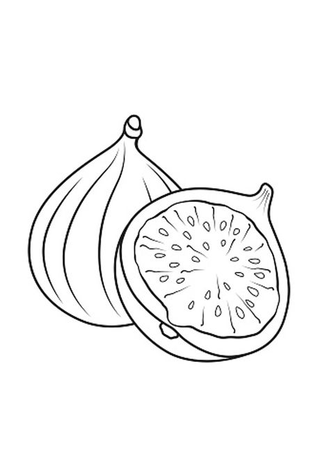 Fig Drawing, Fruit Coloring, Gouache Tutorial, Leaf Coloring Page, Creative Clips Clipart, Fig Fruit, Leaf Outline, Fruit Coloring Pages, Fruits Drawing