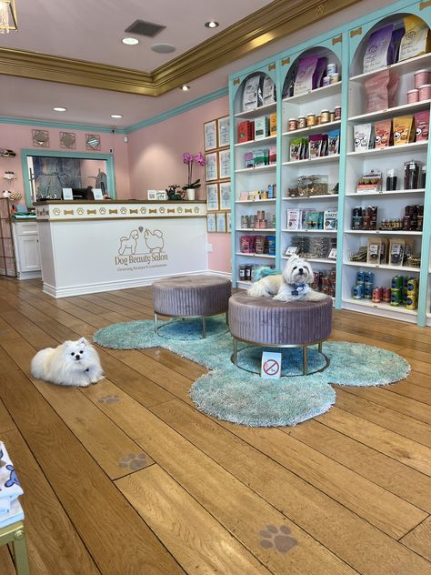 Dog Grooming Shop Ideas Interior Design, Dog Grooming Shed Salon, Dog Salon Ideas Interior Design, Pet Shop Interior, Pet Shop Aesthetic, Pet Grooming Salon Ideas Design, Dog Grooming Salon Ideas, Pet Store Display, Grooming Salons