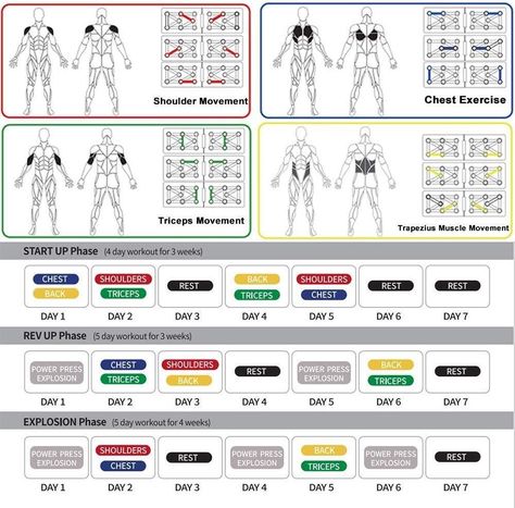 4 Day Workout, Exercise Tools, 5 Day Workouts, Push Up Board, Push Up Stand, Up Board, Plyometric Workout, Push Up Bars, Bar Workout