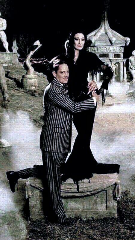 Adams Family Costume, Raul Julia, Morticia And Gomez Addams, Addams Familie, Charles Addams, Gomez And Morticia, Gomez Addams, Anjelica Huston, Fritz Lang