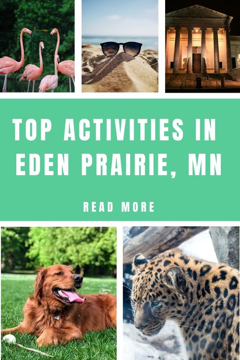 Eden Prairie is the 12th largest city in Minnesota, with many unique offerings. According to Money magazine, this city is among the “best places to live and raise a family” in the entire country! What’s Minnesota Fall, Eden Prairie Minnesota, Money Magazine, Places To Live, Minnesota State, Lake Park, University Of Minnesota, Veterans Memorial, Best Places To Live