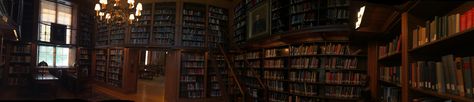 Library Header, Dark Library Aesthetic, Horizontal Pictures, Dark Academia Library, Notion Header, Notion Icons, Hogwarts Library, Notion Inspo, Medical Library