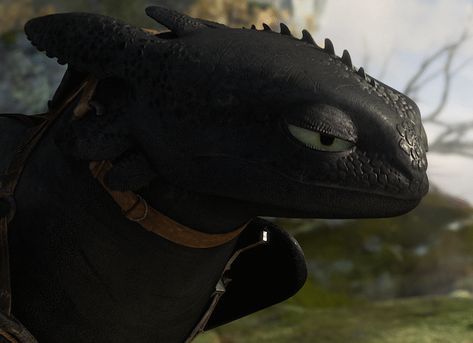 Toothless GIFs on Giphy Toothless Gif, Toothless, A Dragon, Gif, Black