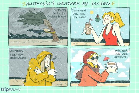 What You Need to Know About the Seasons in Australia Australia Weather, Scuba Diving Australia, In A Pickle, The 4 Seasons, September Baby, Australia Backpacking, Foster Kittens, Visit Australia, Third Baby