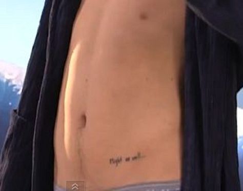 might as well Harry Styles Hip Tattoo, Harry Styles Tattoos Inspiration, Well Tattoo, Tattoo On Hip, Hip Tattoo Designs, Harry Styles Tattoos, Tattoos Inspiration, Celebrity Tattoos, Hip Tattoo