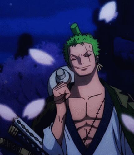 Zoro Gif, Doflamingo Wallpaper, Zoro Roronoa, One Piece Gif, 8bit Art, One Piece Ace, Anime Gifs, Zoro One Piece, One Peice Anime