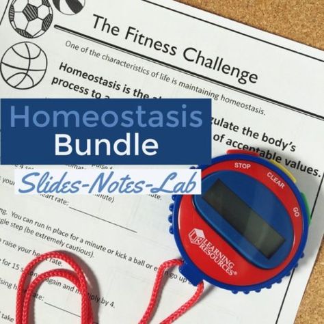 Homeostasis Lab. Creative ideas to teach homeostasis and more Homeostasis Activity, Homeostasis Lab, Life Science Middle School, Human Body Activities, Teaching Secondary, Biology Labs, Secondary Science, Earth And Space Science, Science Lesson