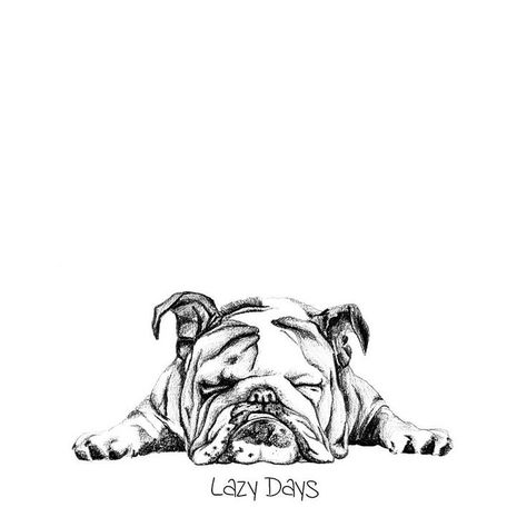 English Bulldog Illustration, English Bulldog Art, Tatoo Dog, Bulldog Illustration, Bulldog Drawing, 6th October, Bulldog Tattoo, Cute Bulldogs, English Bulldog Puppies