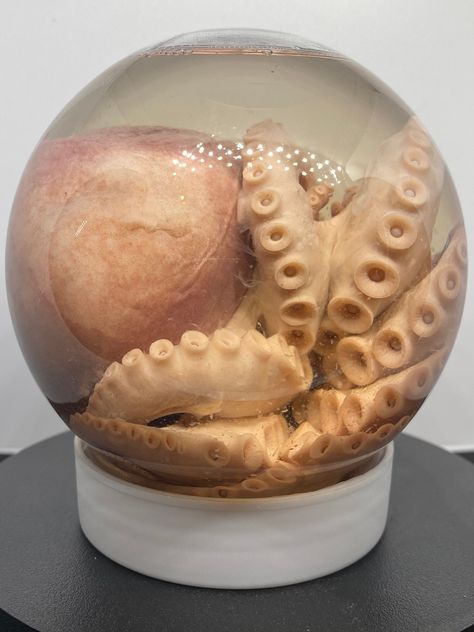 Large wonky octopus wet specimen plastic globe enclosure by HissyBits on Etsy Wet Specimen Taxidermy, Oddities Collection, Coffee Sachets, Wet Specimen, Vulture Culture, Alcohol Bottles, Packing Peanuts, Food Industry, Jar Containers