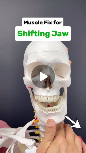 Dr. Joe Damiani - TMJ, Head & Neck Specialist on Instagram: "Comment the word ‘JAW’ on this video if you need help fixing TMJ or Jaw pain and I’ll help you out!

Does your jaw shift when you open it? Does it also feels stiff or maybe even clicks and pops?

Well, the lateral pterygoid muscle attaches onto the TMJ actually pulling the disc in their anteriorly. This can result in two things…

1.) A disc displacement, which very commonly will shift the draw towards the side of the spasms lateral pterygoid.

2.) if there is no disc displacement, the spasm and self can just shift the jaw towards the opposite side as seen in this video.

The first thing we wanna do is see if we can release any spasm. The tightness with the result is for your jaw, functionality and symptoms.

The lateral pterygoid Pterygoid Muscle, Jaw Pain, Jaw Bone, Head And Neck, Physical Therapy, Fix It, Feelings, Health, Instagram