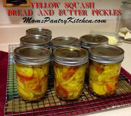 Yellow Squash Bread, Pickled Squash Recipe, Squash Pickles, Butter Squash Recipe, Canning Squash, Summer Squash Bread, Squash Bread, Bread And Butter Pickles, Summer Squash Recipes